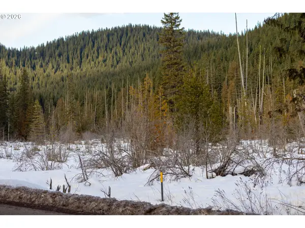 93732 E Highway 26, GovernmentCamp, OR 97028