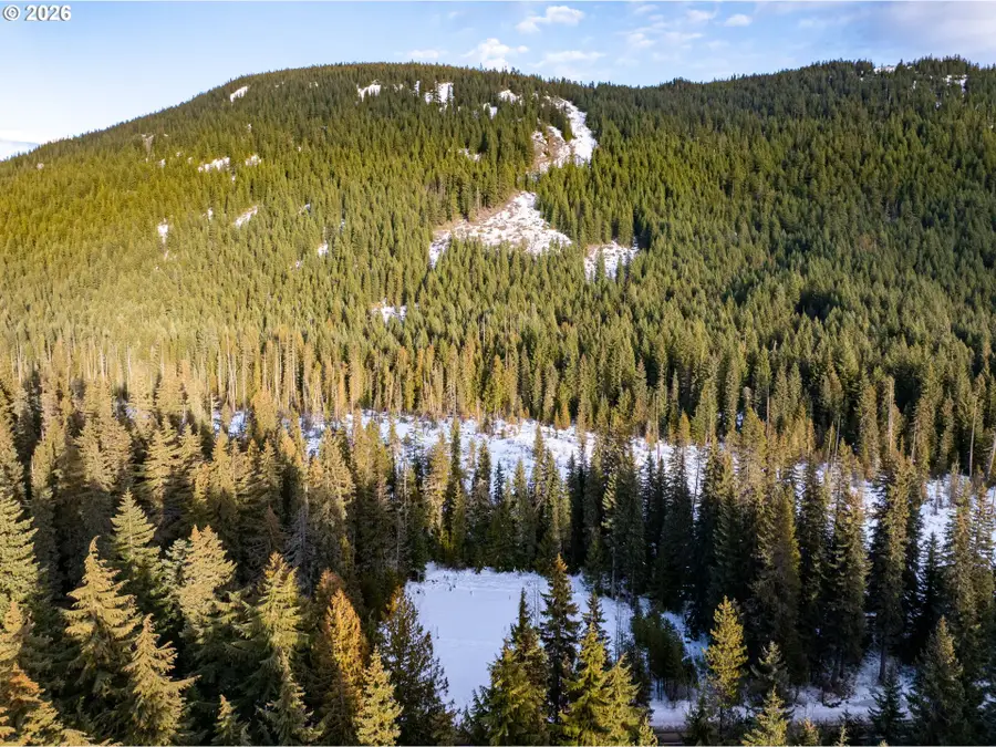 93732 E Highway 26, Mount Hood, OR 97028 - #2