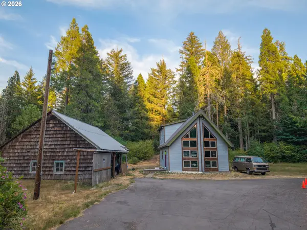 55533 Mckenzie River Dr, BlueRiver, OR 97413