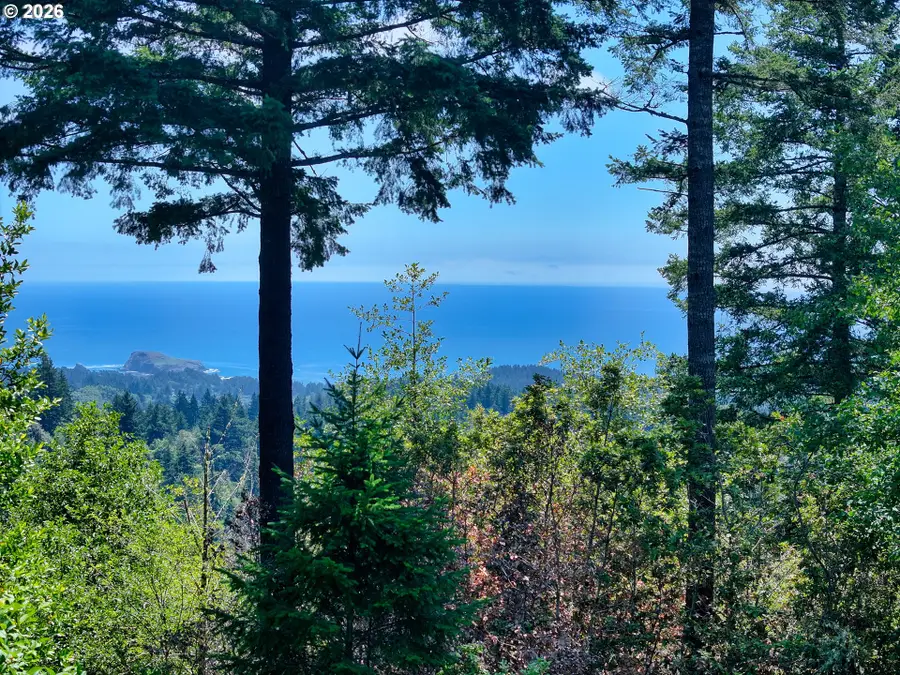 18768 Olympia Rd, Brookings, OR 97415 - #2