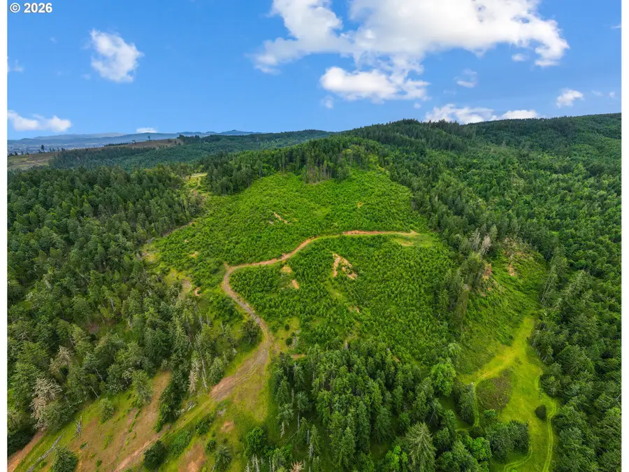 Camas Swale Rd, Creswell, OR 97426 - #3