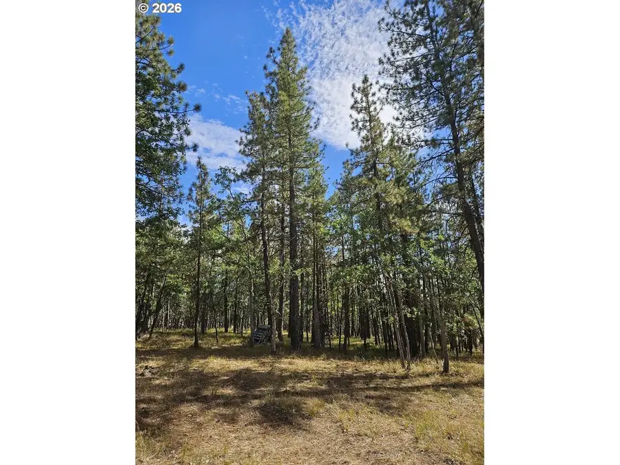 50 Jefferson Vista, Goldendale, WA 98620 - #3