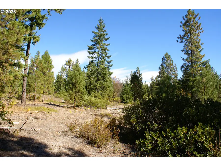 Cedar Valley Rd, Goldendale, WA 98620 - #3