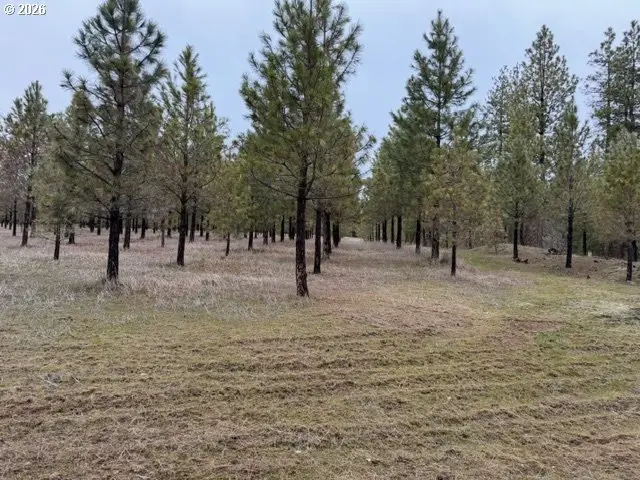 Garrison Rd #1,2,3, Goldendale, WA 98620 - #3