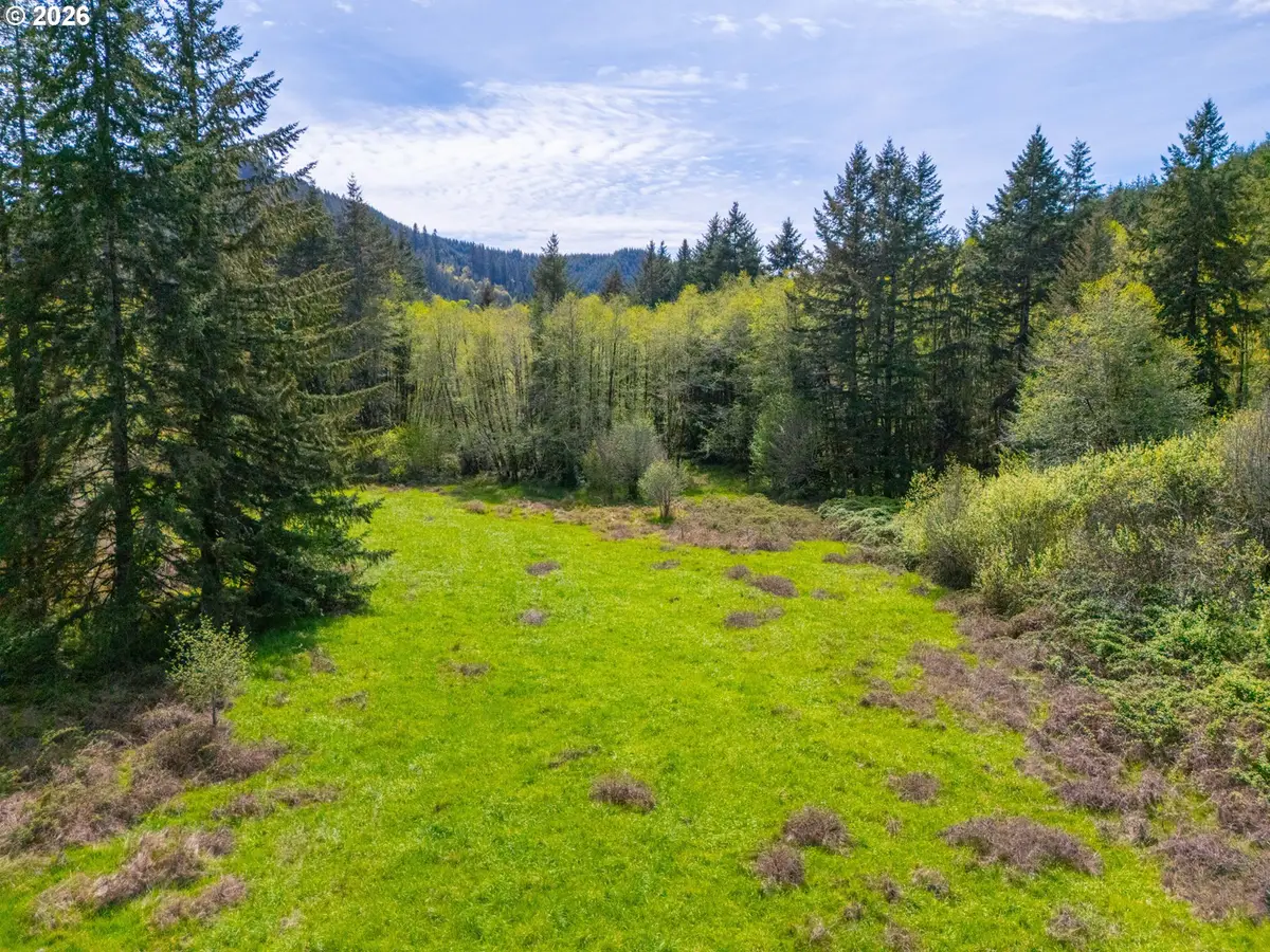 Nelson Mountain Rd #TL200, Walton, OR 97490 - #1