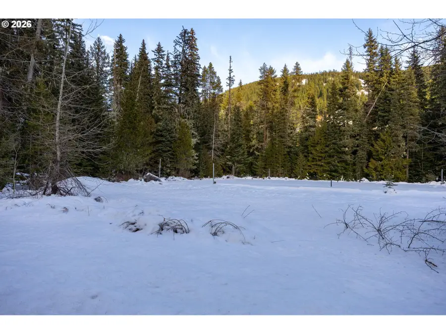 93732 E Highway 26 #101, Mount Hood, OR 97028 - #3