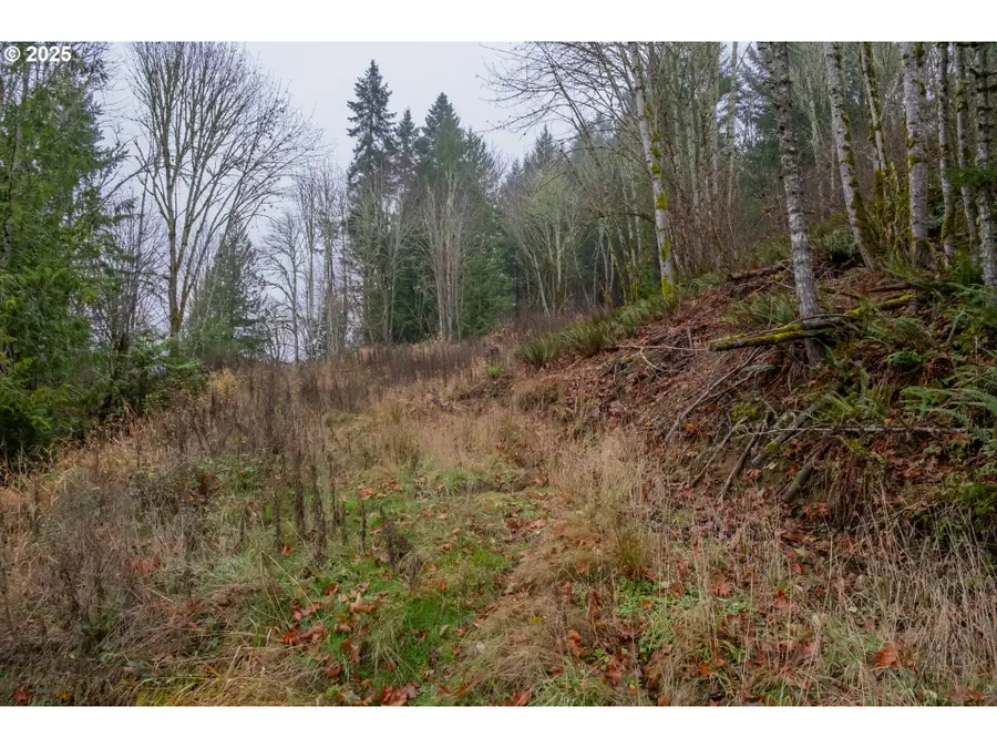 38353 SW Laurelwood Rd, Gaston, OR 97119 - Image #3