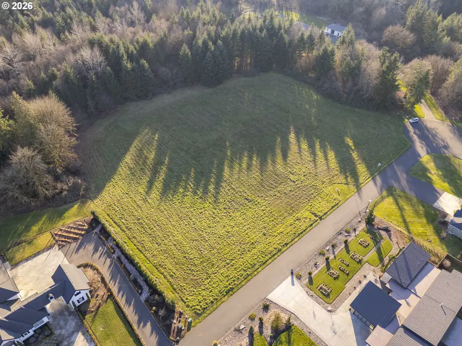 0 NE 163rd Cir, Meadow Glade, WA 98604 - Image #3