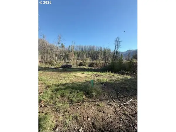 91241 Blue River Rd, BlueRiver, OR 97413