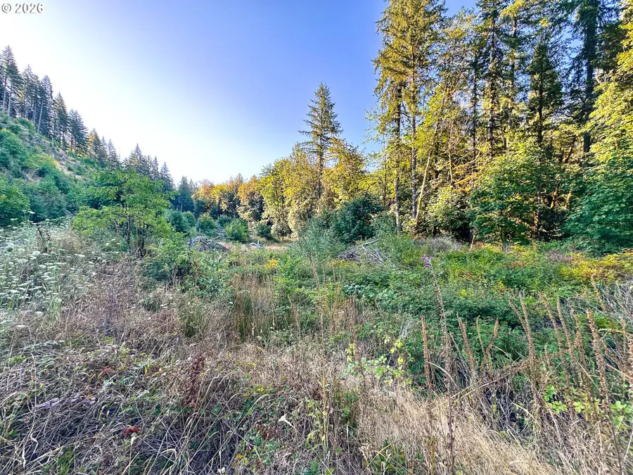 Honeygrove Rd #TL200, Alsea, OR 97324 - #2