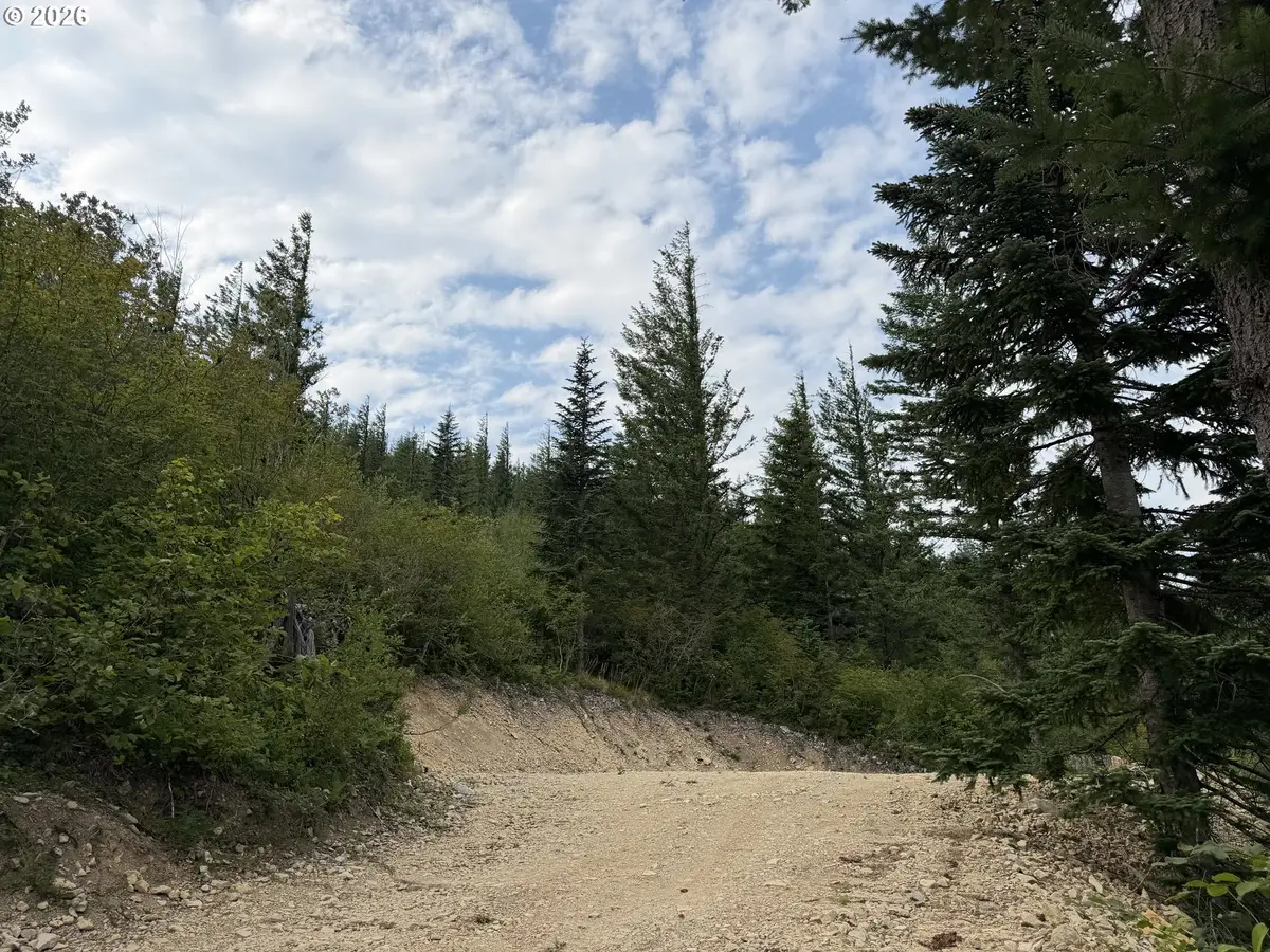 0 Snag Mountain Rd #112, Washougal, WA 98671 - #1