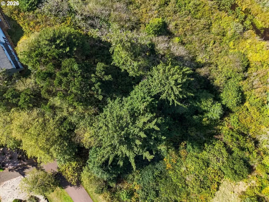 NW Alika Lane #TL 114, Seal Rock, OR 97376 - #3