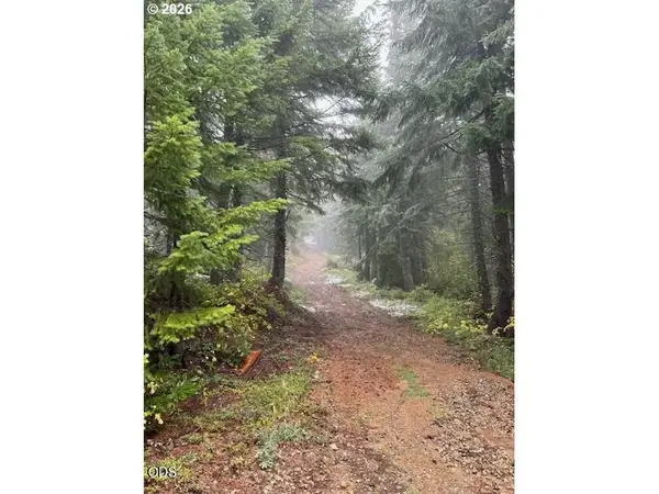 Forest Rod 2820 #100, SweetHome, OR 97386