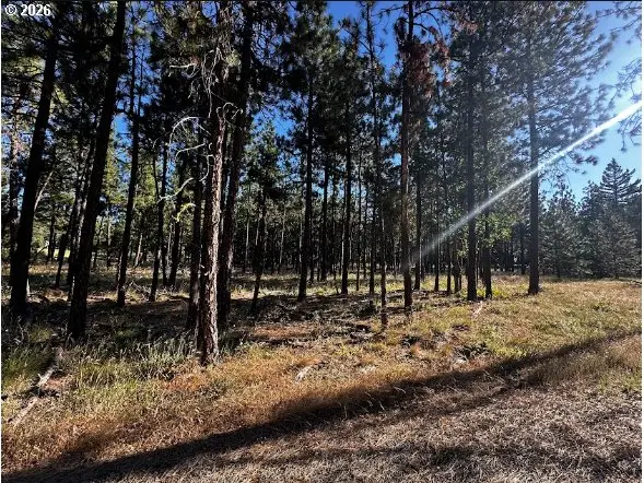 3 Carol Ln, Goldendale, WA 98620 - #1