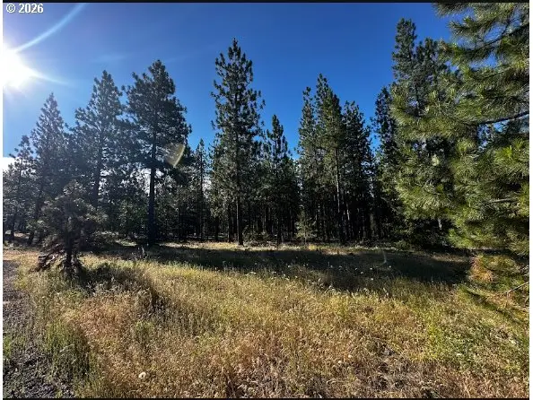 3 Carol Ln, Goldendale, WA 98620 - #2
