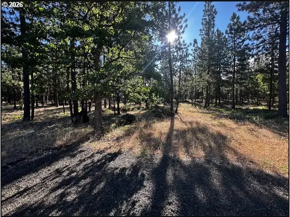 3 Carol Ln, Goldendale, WA 98620 - #3
