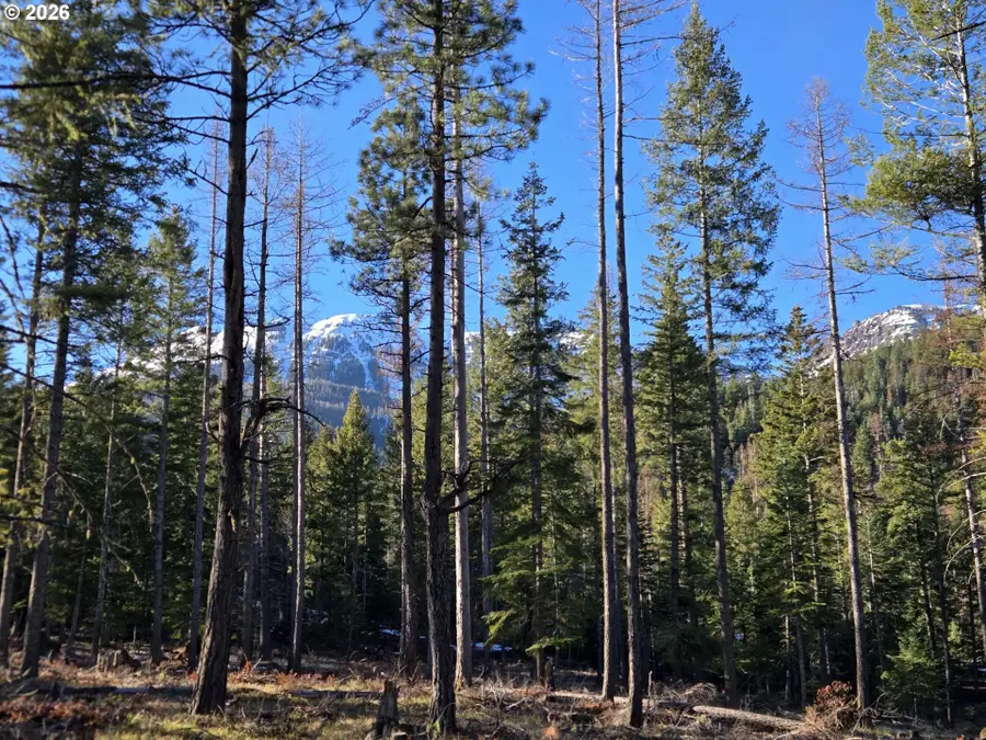 61005 Lime Quarry Rd, Enterprise, OR 97828 - #2