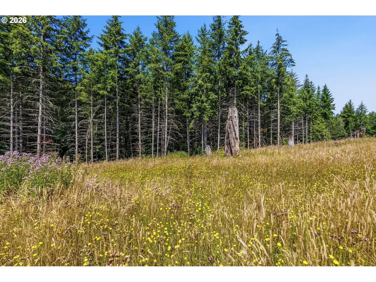 252 Ash Mountain Dr, Castle Rock, WA 98611 - #1