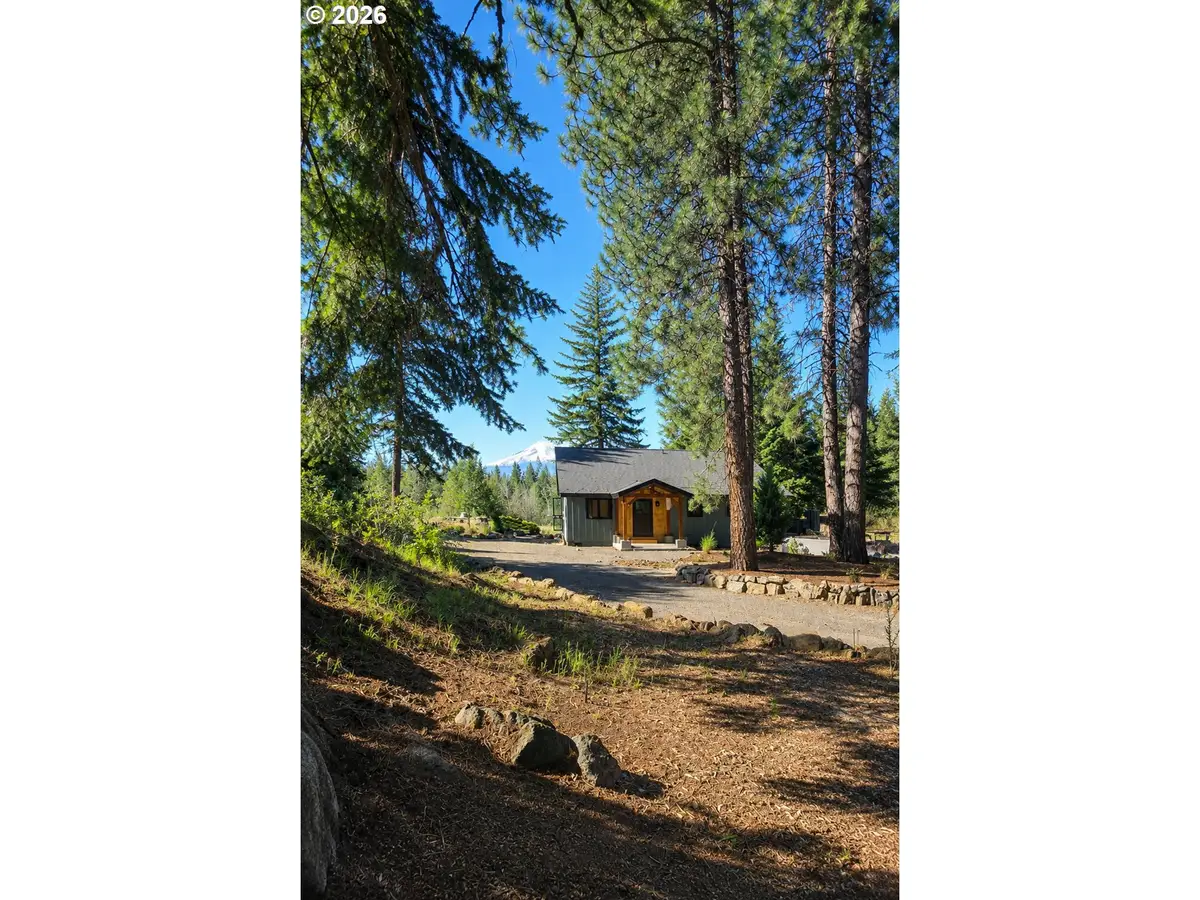 19 Lava Rd, Trout Lake, WA 98650 - #1