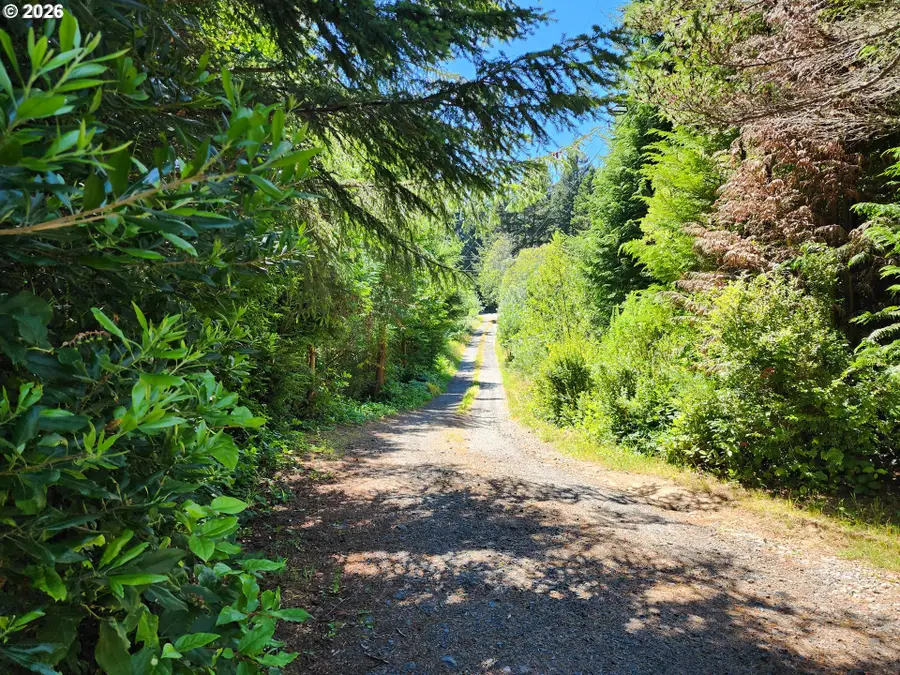 42535 Hensley Hill Rd, Port Orford, OR 97465 - #2