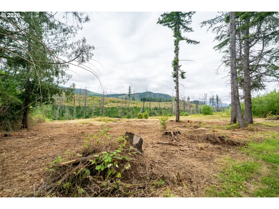 35220 N Santiam Hwy Se, Gates, OR 97346 - #3