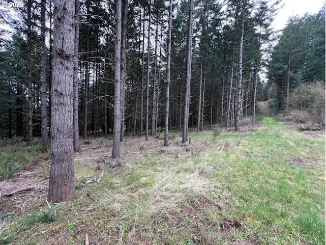 Deer Ct, Banks, OR 97106 - #1