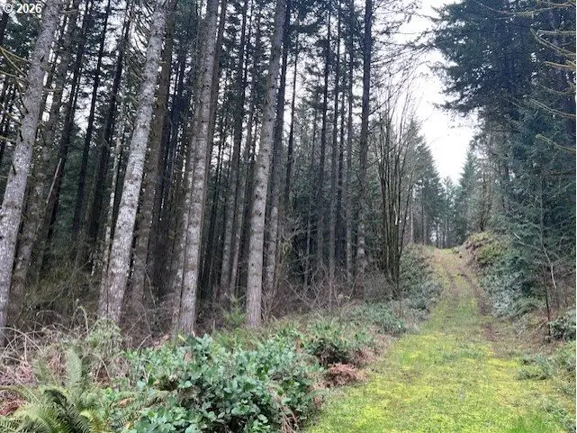 Deer Ct, Banks, OR 97106 - #2