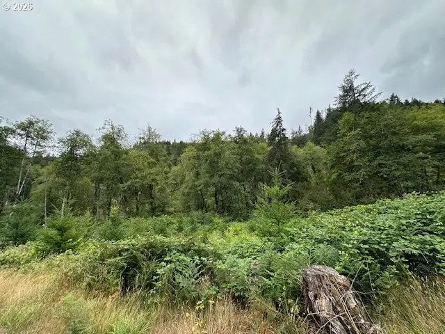3 N Dubois Rd, Ariel, WA 98603 - #1