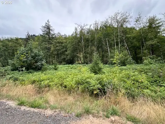 3 N Dubois Rd, Ariel, WA 98603 - #2