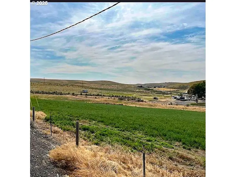 260 N E St, Lexington, OR 97839 - #3