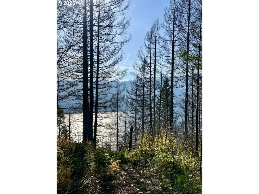 9562 Cook-underwood Rd, Underwood, WA 98651 - Image #2