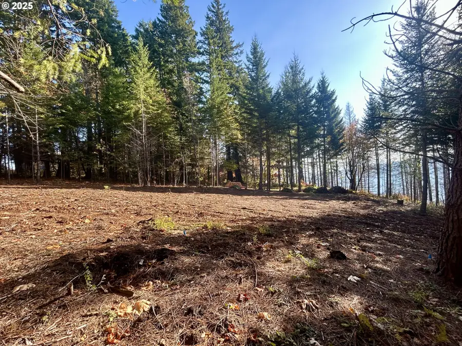 9562 Cook-underwood Rd, Underwood, WA 98651 - Image #3