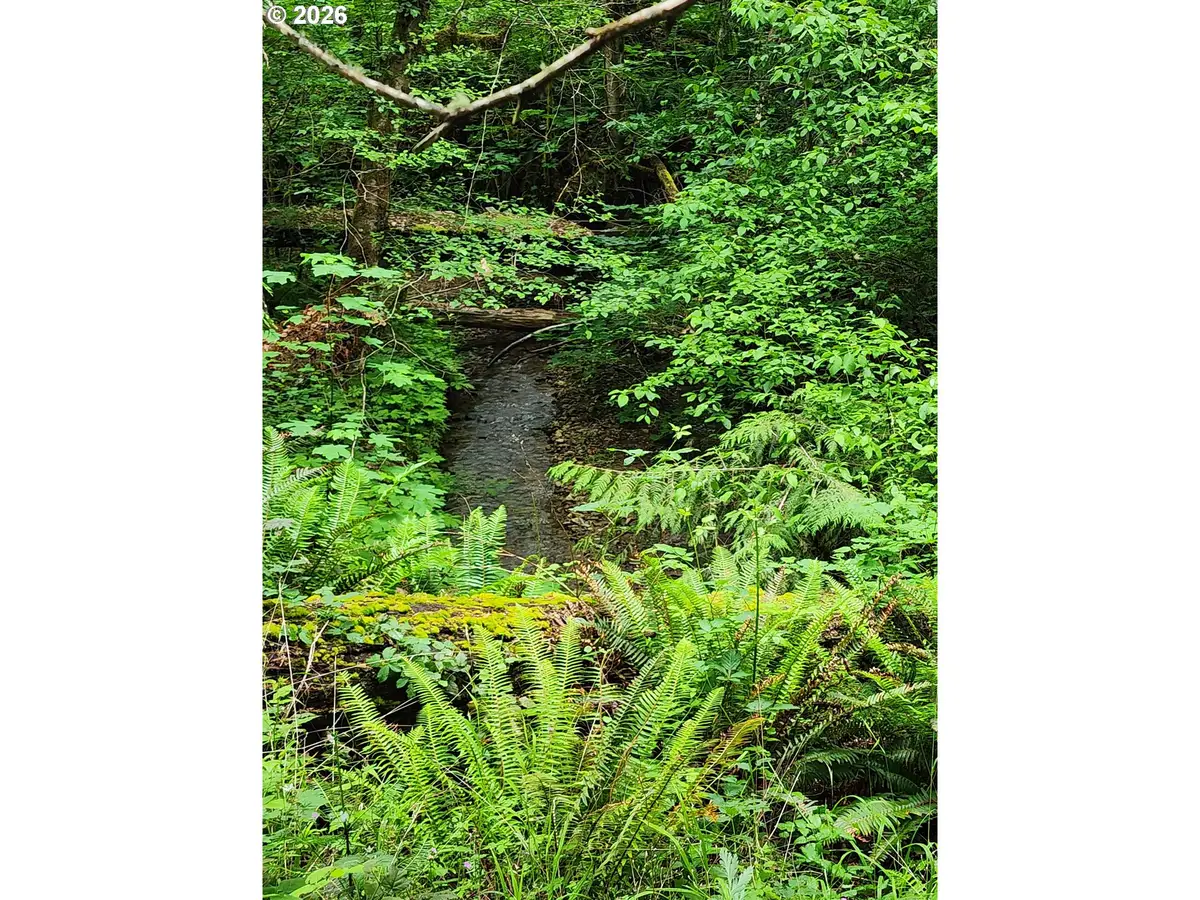 0 Louis Creek Rd, Myrtle Creek Riddle, OR 97457 - #1