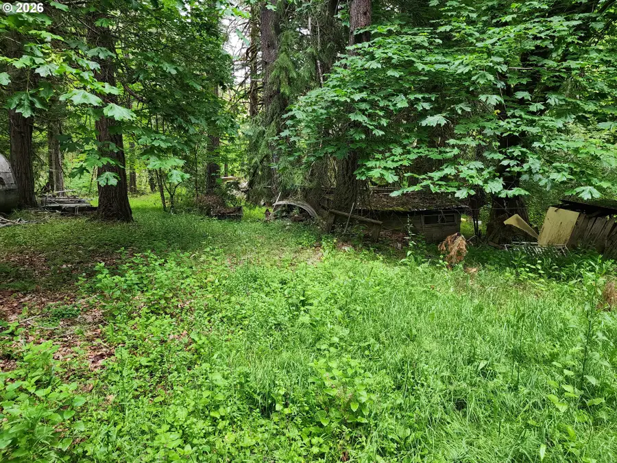 0 Louis Creek Rd, Myrtle Creek Riddle, OR 97457 - #3