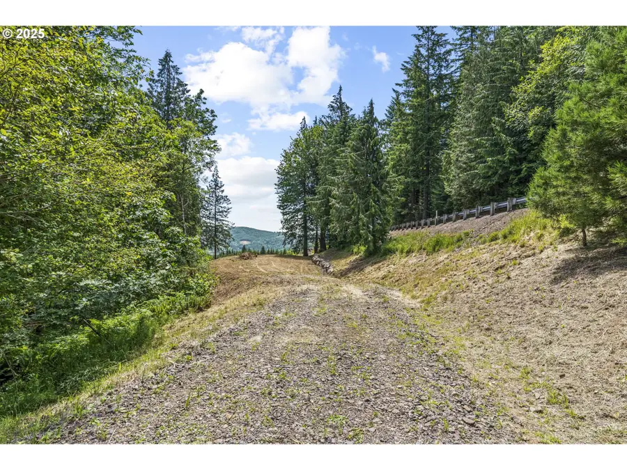 1899 Mount Pleasant Rd, Kelso, WA 98626 - #3