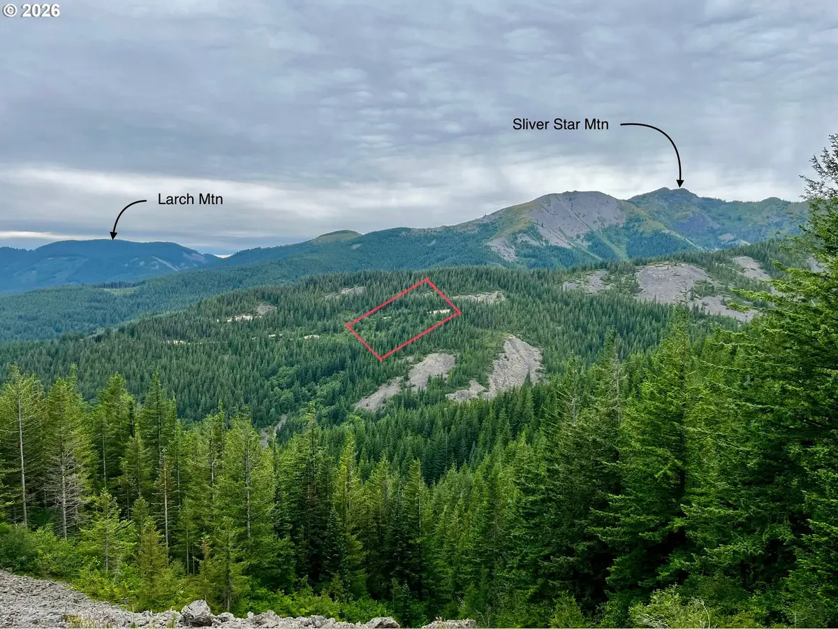 Snag Mountain Rd #110, Washougal, WA 98671 - #1
