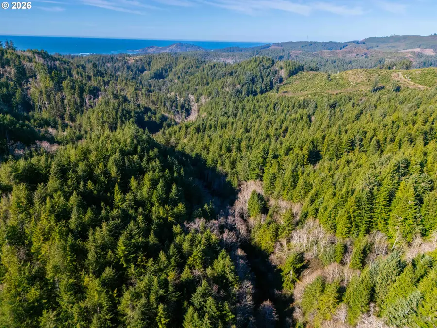 Newport Heights Dr #TL106, Newport, OR 97365 - #3