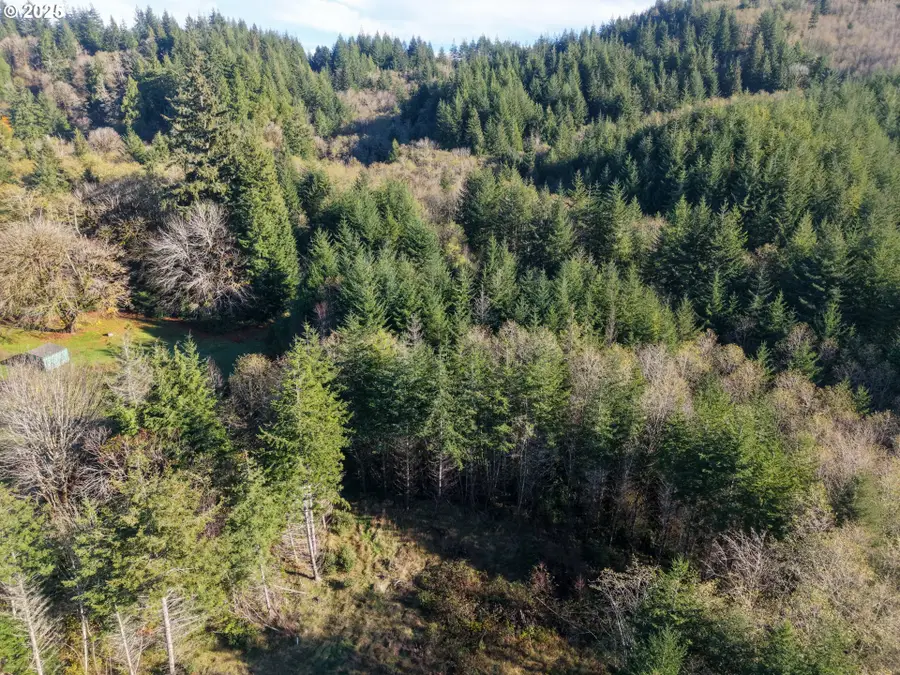 19 Pierson #1421, Coosbay, OR 97420 - Image #3