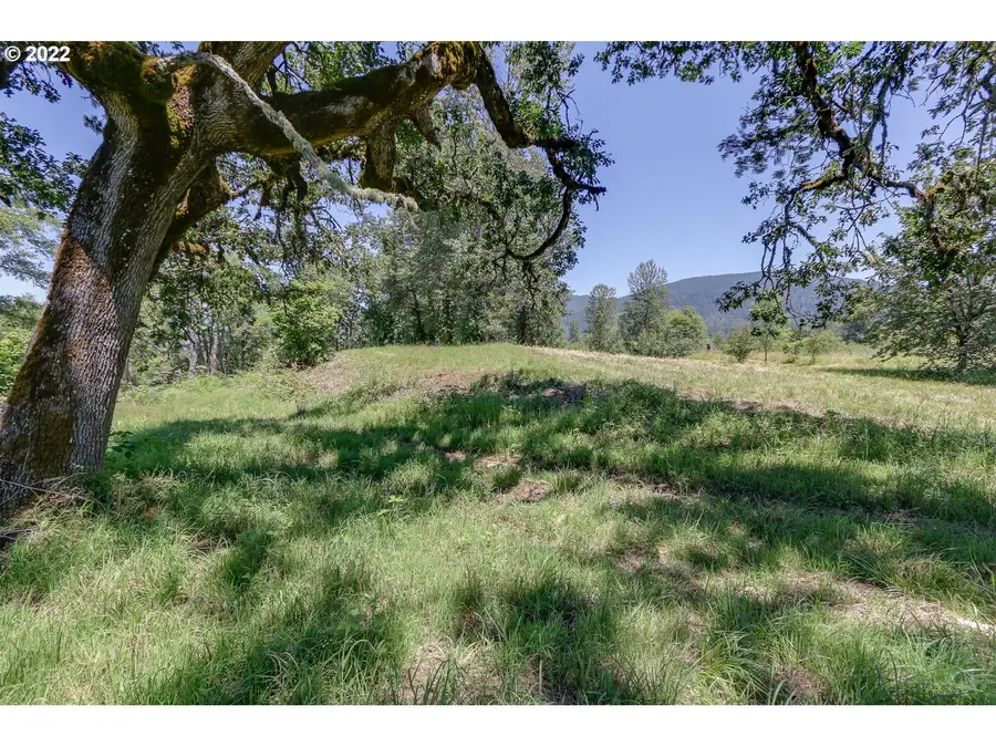 Delight Valley Schl Rd, Cottage Grove, OR 97424 - Image #3