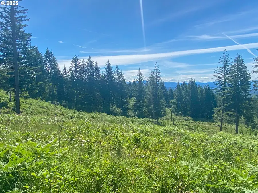 29104 NE Hancock Rd, Camas, WA 98607 - #3