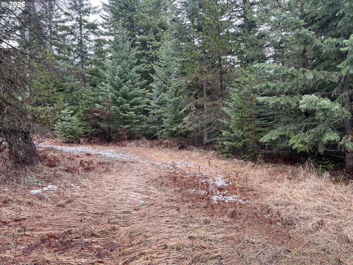 0 Highway 204, Weston, OR 97886 - #1