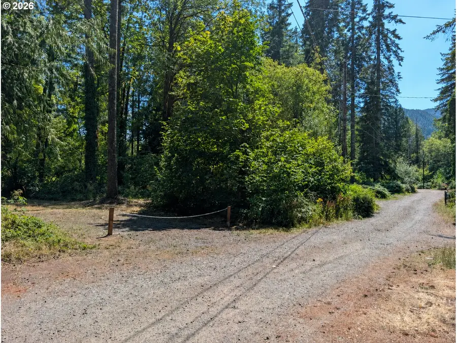 23580 E Gumjuwac Rd, Brightwood, OR 97011 - #2