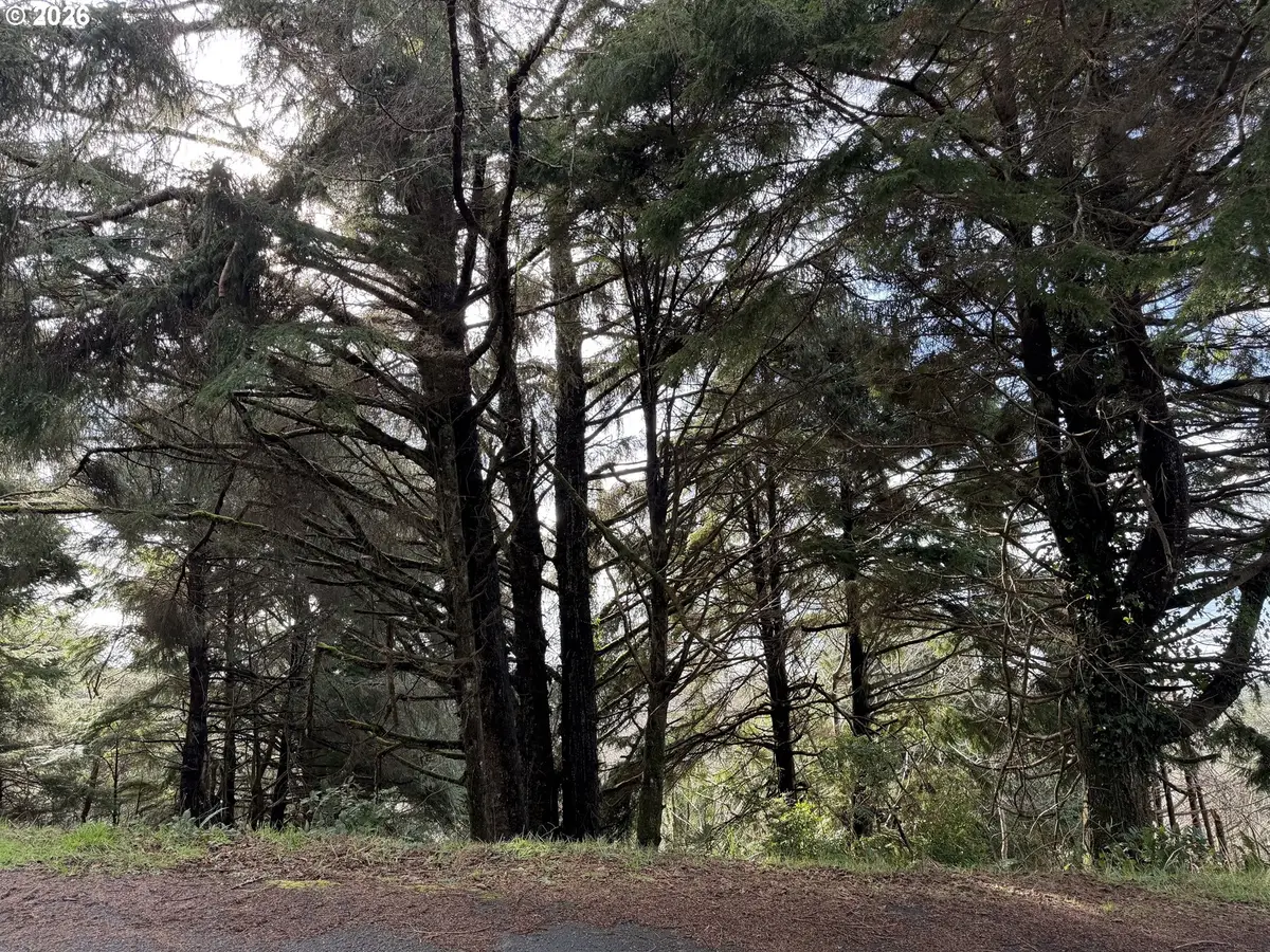 0 Pacific View Estates #70, Rockaway Beach, OR 97136 - #1