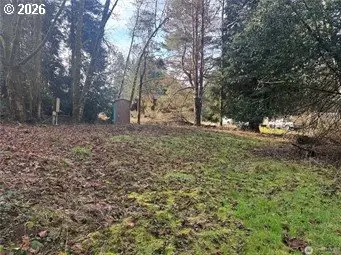 106 Olequa Pl, Vader, WA 98593 - #2