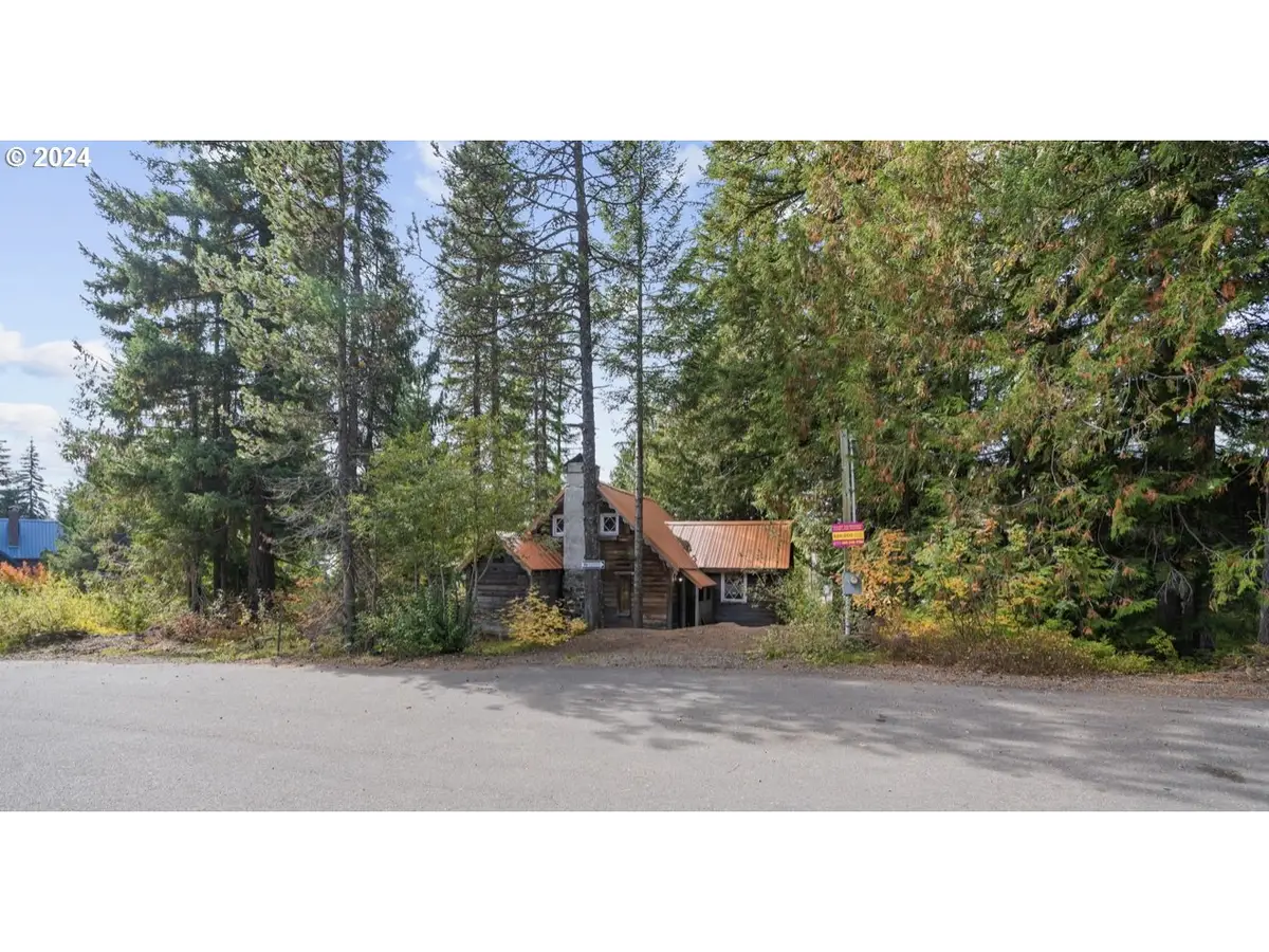 88887 E Government Camp Loop, Government Camp, OR 97028 - Image #1