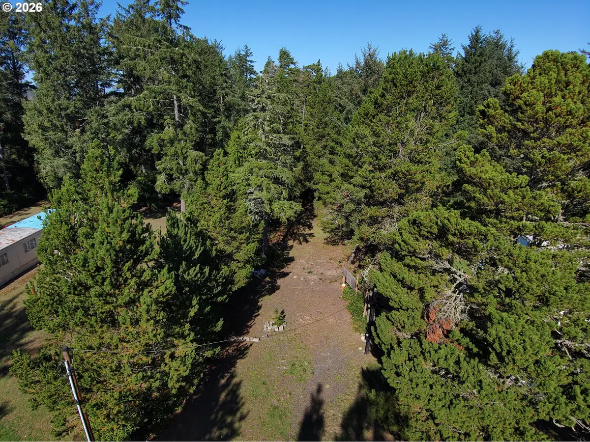 1205 303rd St, Long Beach North Beach Peninsula, WA 98640 - #1
