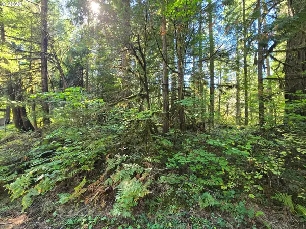1655144006700, McKenzieBridge, OR 97413