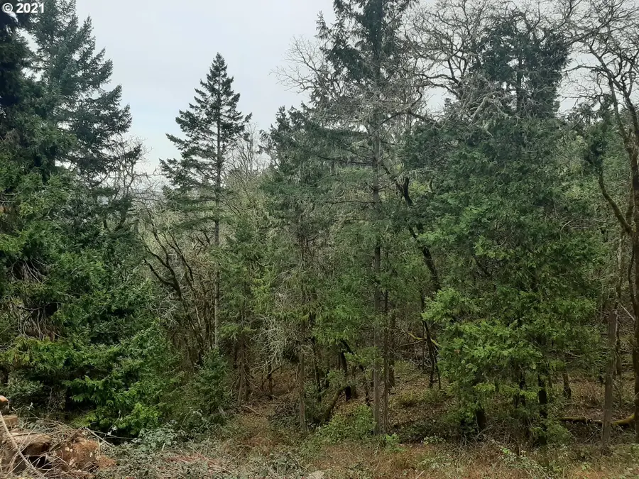 0 Lookingglass Rd, Roseburg, OR 97471 - #3