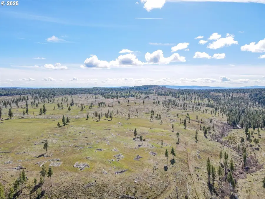 3 Box Canyon Rd, Goldendale, WA 98620 - Image #3