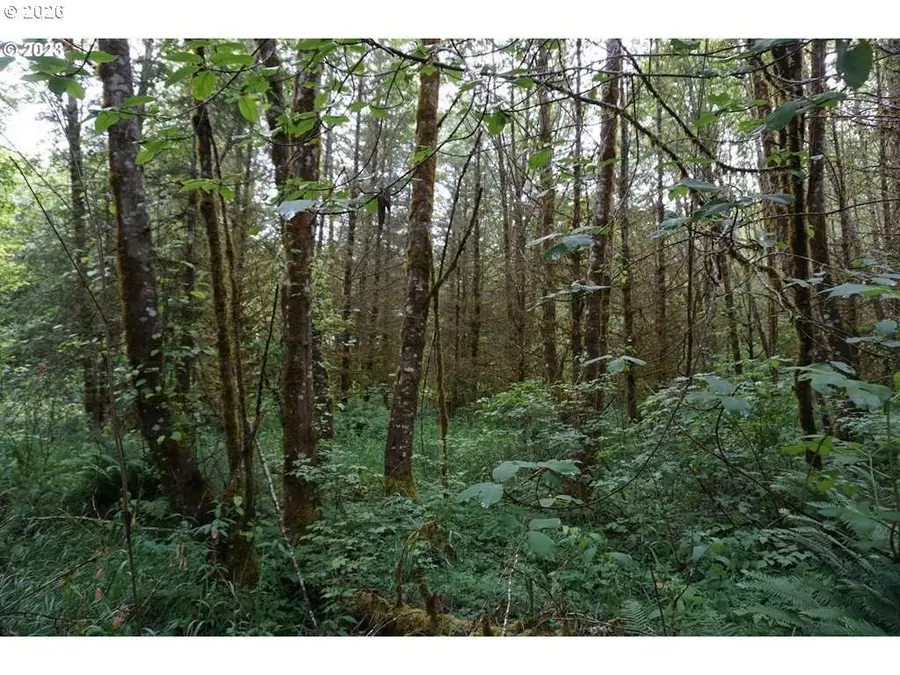 0 NE Buncombe Hollow Rd, Woodland, WA 98674 - #2